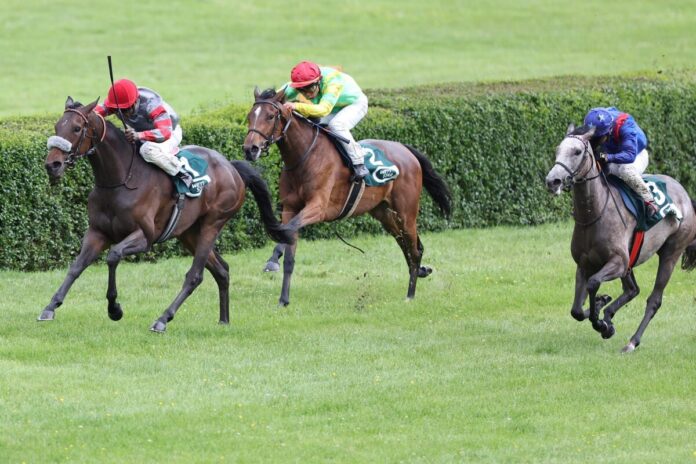 Königin Marika siegt unter Eduardo Pedroza Königin Marika siegt unter Eduardo Pedroza