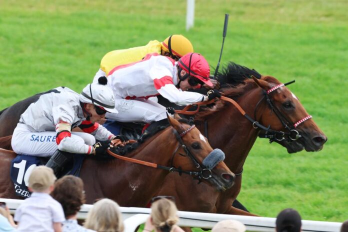 Lordano siegt uter Leon Wolff im Grosser Preis von Tattersalls (Ex Gr.Pr.d.Badischen Wirtschaft) Gr.2