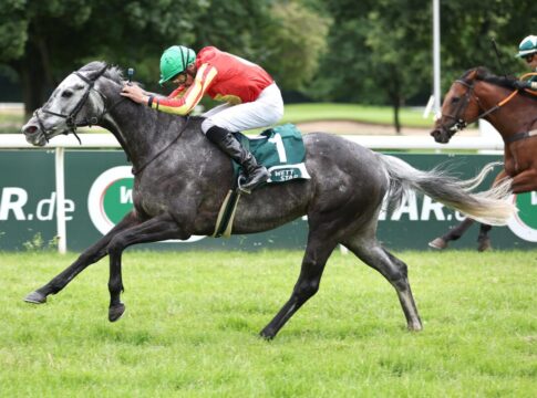 Favoritin Nation of Stars reiterlos – Grey Sparkle mit Speed für Harzburg Grey Sparkle siegt unter Niazi Ismail