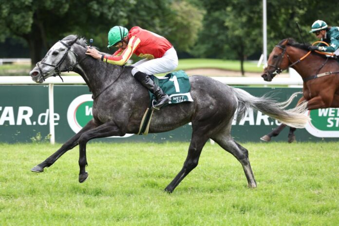 Grey Sparkle siegt unter Niazi Ismail