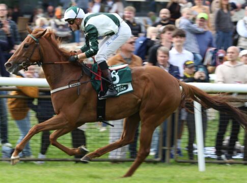Wieder außen: Angermanns Miss Ellie an den Rails nicht zu schlagen Miss Ellie siegt unter Martin Seidl