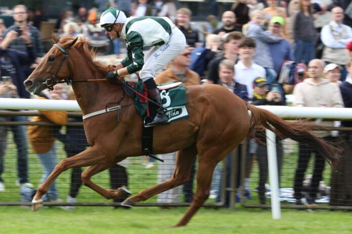 Miss Ellie siegt unter Martin Seidl