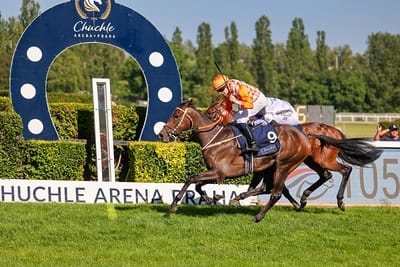 Stutensieg im Tschechischen Derby: Miss of Change vorne Miss of Change