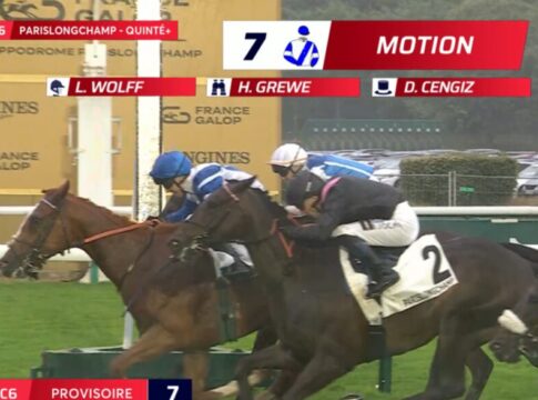 Quinte-Sieger Motion per Wild Card auf die Arqana Vente d’Ete Motion