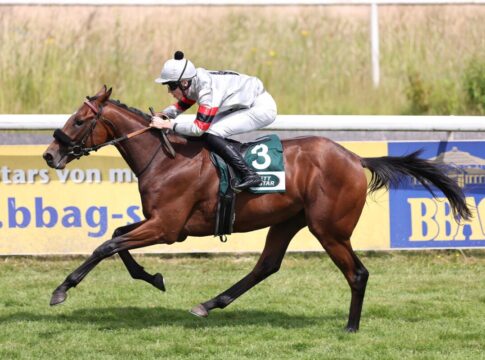 Debütant Perito bei den Zweijährigen ein leichter Sieger Perito siegt unter Leon Wolff