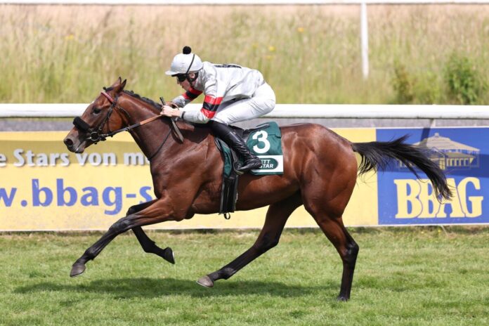 Perito siegt unter Leon Wolff Perito siegt unter Leon Wolff