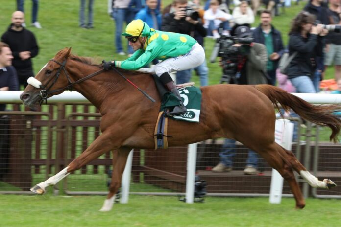 Petra My Love siegt unter Martin Seidl