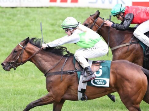 Krefeld: Pippa's Girl siegt für den Präsidenten Pippas Girl siegt unter Maike Riehl