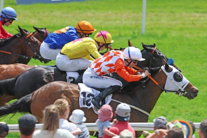 Sadalbari siegt unter Benjamin Marie