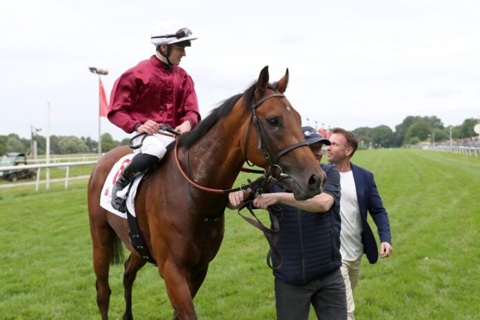 Schiergen siegt unter Leon Wolff