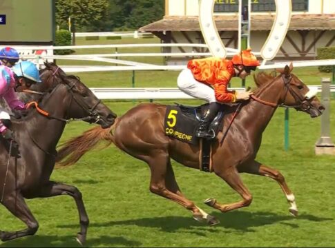Neuerlicher Hickst-Sieg in Frankreich – Lichtstern in Compiegne siegreich Lichtstern