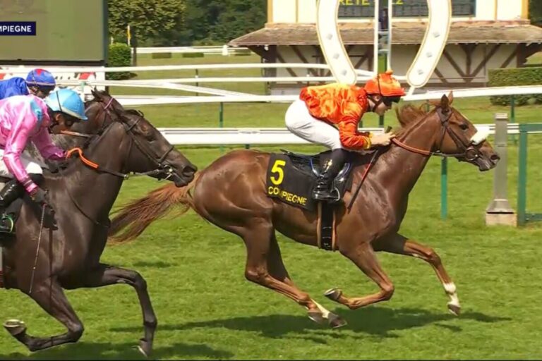 Neuerlicher Hickst-Sieg in Frankreich – Lichtstern in Compiegne siegreich