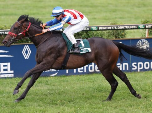 Hammer-Hansen mit erstem Tagestreffer in Krefeld Shenmi siegt unter Thore Hammer-Hansen