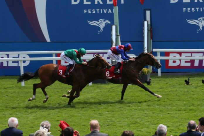 SpW25EpsomCoronationCupEinlauf Jan Brueghel vor Calandagan Foto Rolf Hemke EY5B7836zoom