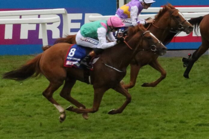 SpW25EpsomDerbyPlatzierte New ground Juddmonte-Farben hellblau Foto hemke EY5B8068