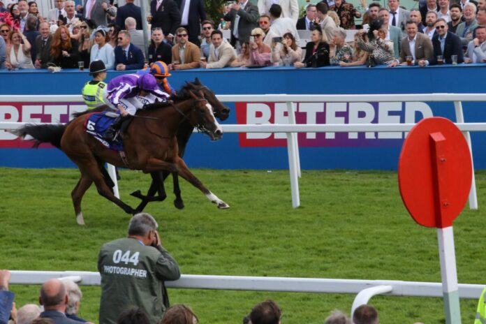 Spw25EpsomOaksBallydoyle-Zweikampf im Schatten des Zielspiegels - minnie Hauk - violett - gegen Whirl Foto hemke EY5B7893