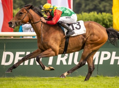 Summerwind siegt unter Michael Cadeddu