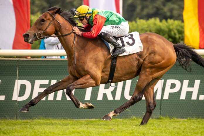 Summerwind siegt unter Michael Cadeddu