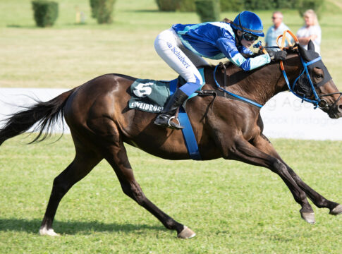 Peterschmitt legt nach, Tabularasa setzt den Schlusspunkt Tabularasa Foto: Gerlach