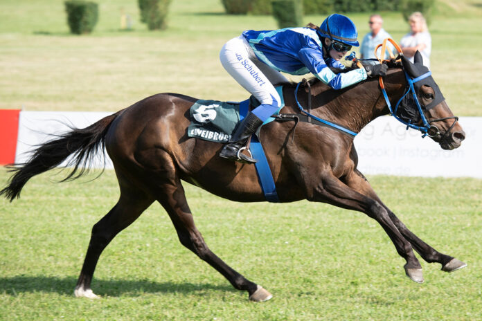 Tabularasa Foto: Gerlach Tabularasa Foto: Gerlach