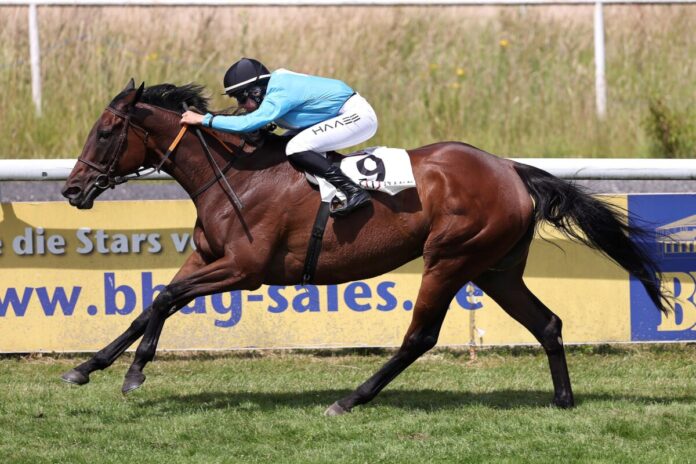 Tex Lot siegt unter Lilli-Marie Engels Tex Lot siegt unter Lilli-Marie Engels