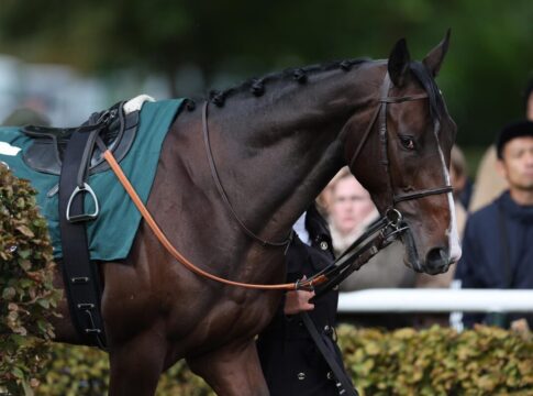 Das Comeback von Think Giant – Reicht es noch für Hamburg? Think Giant