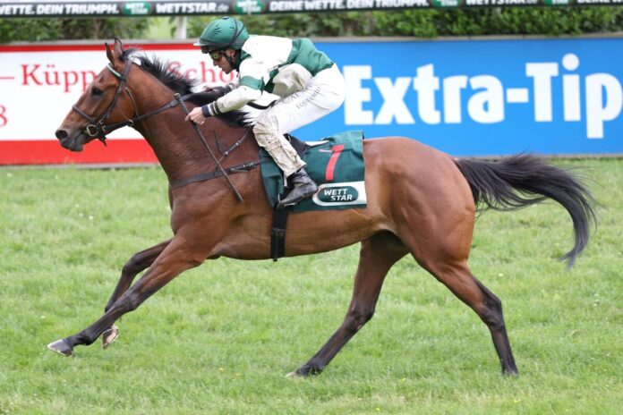 Tough Tom siegt unter Wladimir Panov