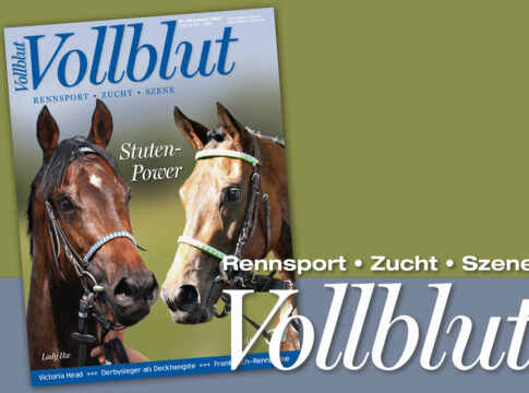 Die neue Ausgabe der VOLLBLUT kommt - Jetzt bestellen! VB281_teaser_GOL