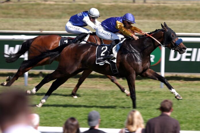 Warren Hill siegt unter Thore Hammer-Hansen