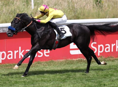 Keiner packt Wikinger bei den Hörnern - Sieg im Ausgleich I! Wikinger siegt unter Leon Wolff