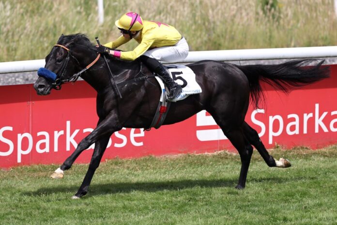 Wikinger siegt unter Leon Wolff Wikinger siegt unter Leon Wolff