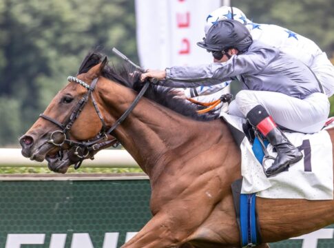 Beim 2. Ritt: Comeback-Sieg für Andrasch Starke mit Winnyzja Winnyzja