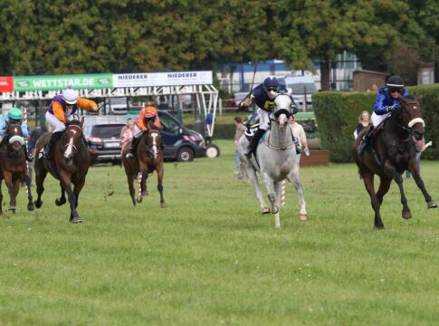 Gemischte Karte am Sonntag in Zweibrücken Pferderennen in Zweibrücken
