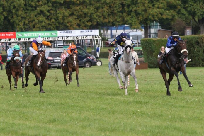 Pferderennen in Zweibrücken