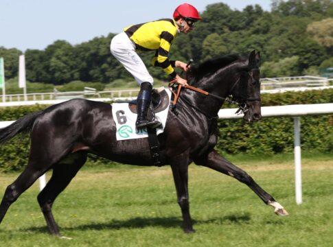 Smrczek-Duo raus aus Derby - Nun noch 35 im "Blauen Band" Zafirelli