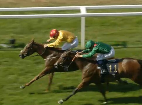 Sensation in Coronation Stakes: Underdog Cercene schlägt Zarigana Zarigana neu