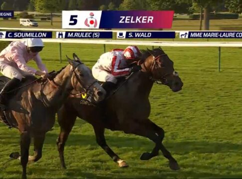 Compiegne: Zelker mit Derby-Nennung – „Wollen noch nichts ausschließen“ Zelker