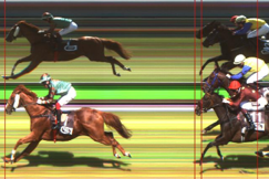 3. Rennen in Dresden – Zielfoto falsch ausgewertet Zielfoto Dresden