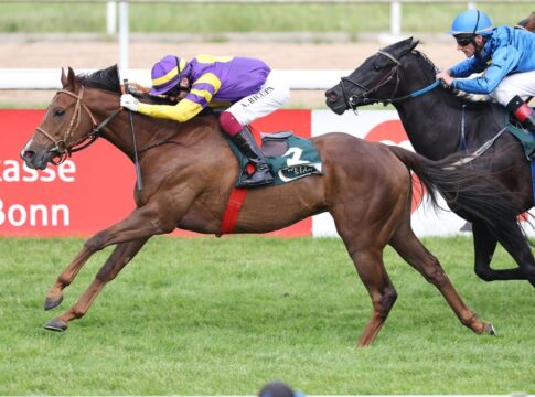 Stallform steht: Al Hitmi für Romy, Ohcorona für Mäder Al Hitmi siegt