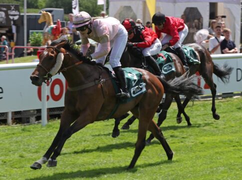 Romy weiter "on fire" - Cuban Lynx auch in Hamburg vorne Cuban Lynx siegt