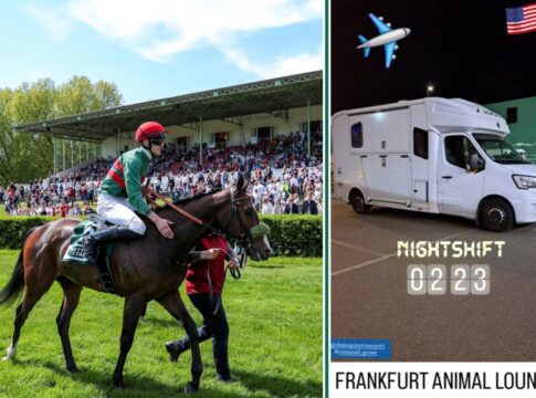 Schon unterwegs nach USA: Flightline-Eigner neue Namaron-Besitzer Namaron (Foto: privat)