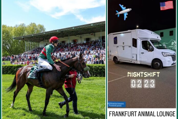 Namaron (Foto: privat) Namaron (Foto: privat)