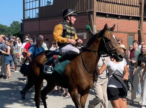 Immer wieder Wöhler! Nightdance Wood siegt im Dresdener Auktionsrennen Nightdance Wood