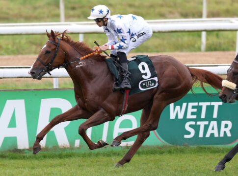 Nach Jahr Pause: Einstiger Derbyfavorit Wonderful Boy erfolgreich zurückgemeldet Wonderful Boy