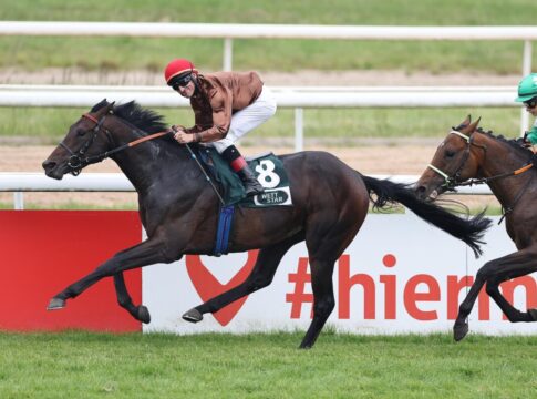 Kölner Union: Schiergens Zuckerhut ringt Hochkönig nieder Zuckerhut siegt