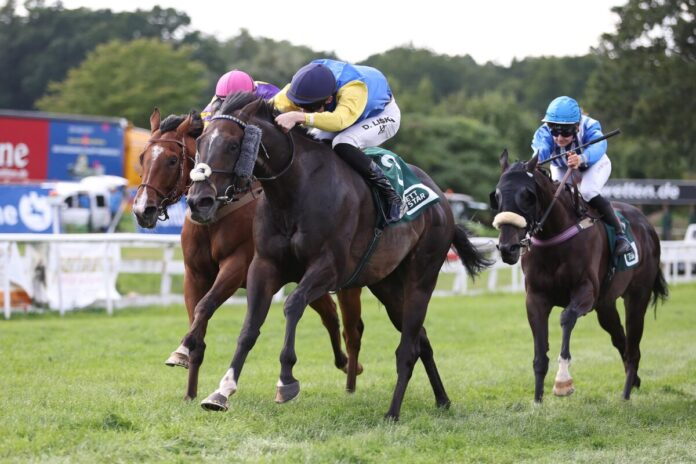 Agent Sim siegt unter David Liska Agent Sim siegt unter David Liska