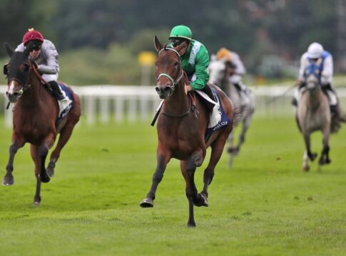 Super-Araber HM Alchahine gewinnt Super-Araberrennen Hm Alchahine siegt unter Cristian Demuro im The President of the United Arab Emirates Cup, Listenrennen