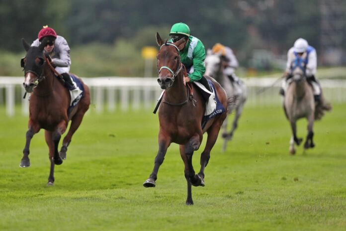 Hm Alchahine siegt unter Cristian Demuro im The President of the United Arab Emirates Cup, Listenrennen