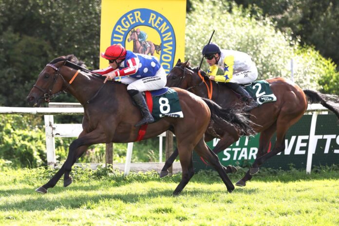 Apocalyx siegt unter Sean Byrne Apocalyx siegt unter Sean Byrne