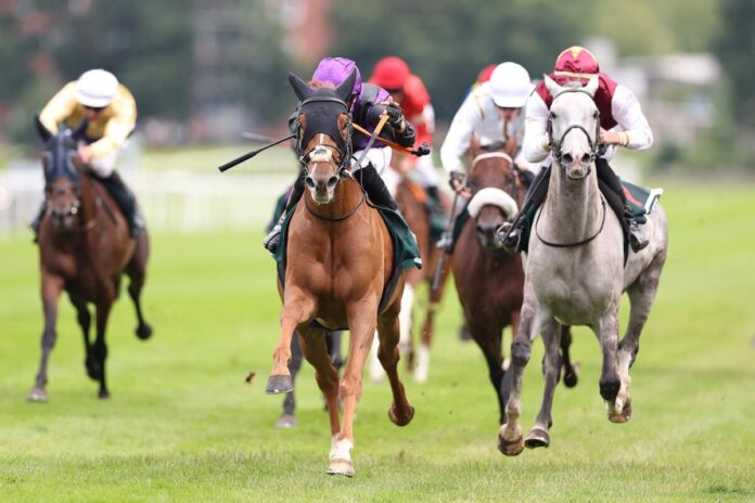 Archie siegt unter Rene Piechulek